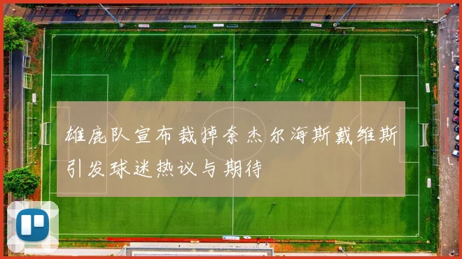 雄鹿队宣布裁掉奈杰尔海斯戴维斯引发球迷热议与期待