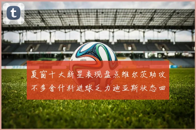 夏窗十大新星表现盘点维尔茨助攻不多舍什科进球乏力迪亚斯状态回暖