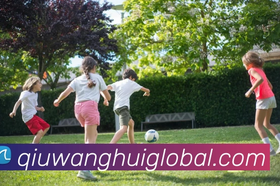 球王会平台生态图