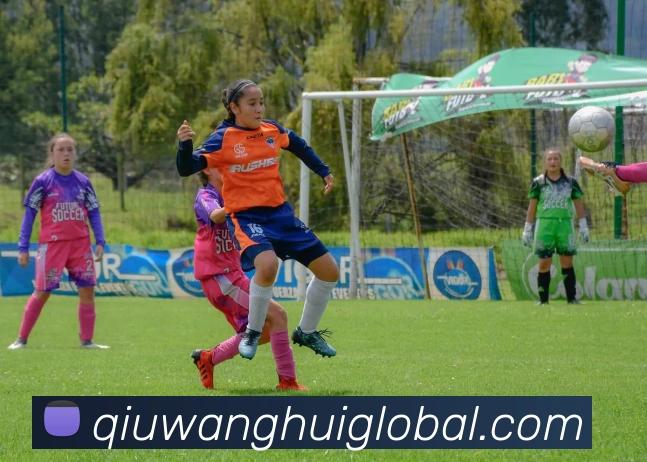 球王会APP 封面图